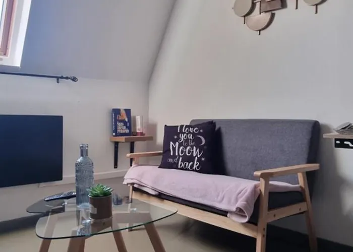 Appartement T1 rénové 24m2 Cosy Confort ! Anzin