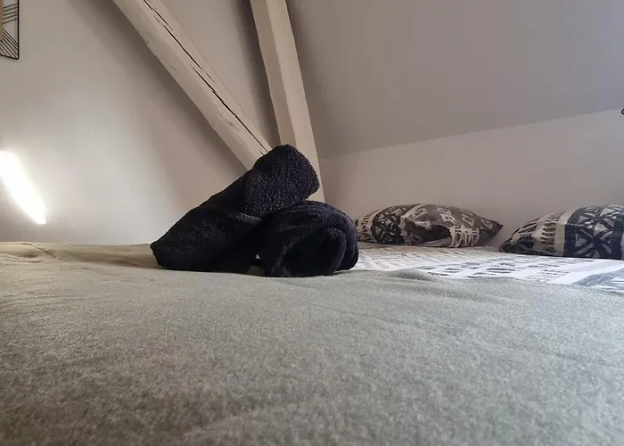 T1 rénové 24m2 Cosy Confort ! * Anzin