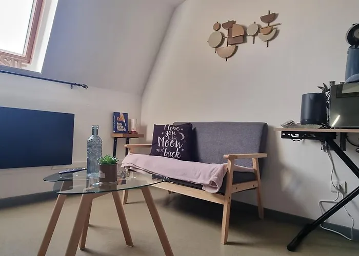 T1 rénové 24m2 Cosy Confort ! Appartement