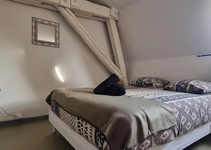 T1 rénové 24m2 Cosy Confort !