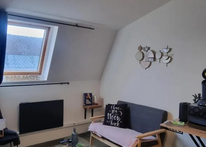 T1 rénové 24m2 Cosy Confort ! * Anzin