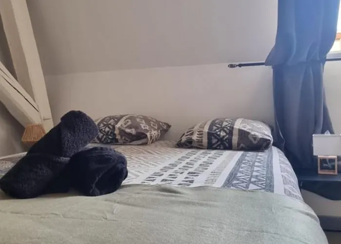 T1 rénové 24m2 Cosy Confort ! Appartement